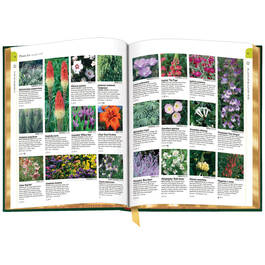 Encyclopedia of Garden Plants 3870 c sp01