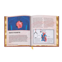 The Anatomy Bible 3682 e spr2
