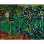 Van Gogh The Complete Paintings 3573 3