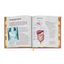 The Anatomy Bible 3682 g sp6