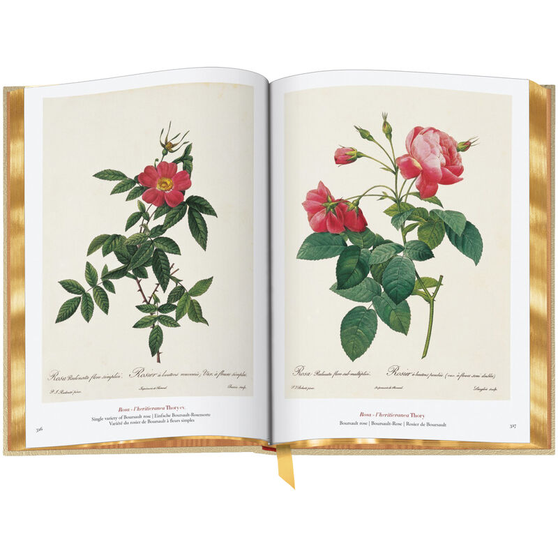 Book of Flowers 3704 e spr4 WEB