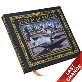 Storm of Eagles 3603 a cover