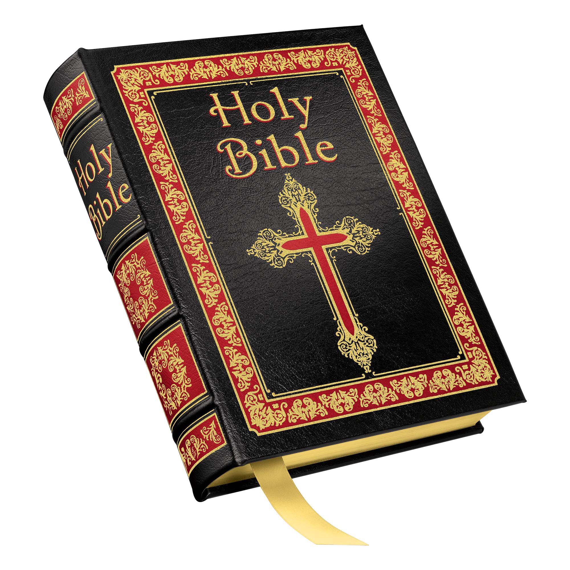 2599 Holy Bible cvr