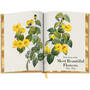 Book of Flowers 3704 f spr5 WEB