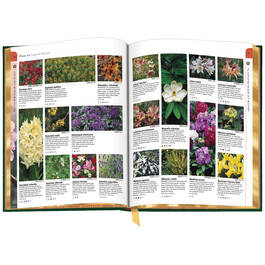 Encyclopedia of Garden Plants 3870 d sp02