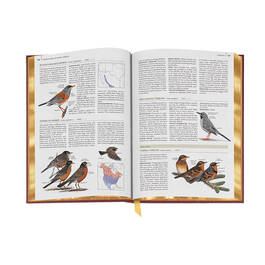 Complete Birds of North America 3596 8