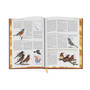 Complete Birds of North America 3596 8