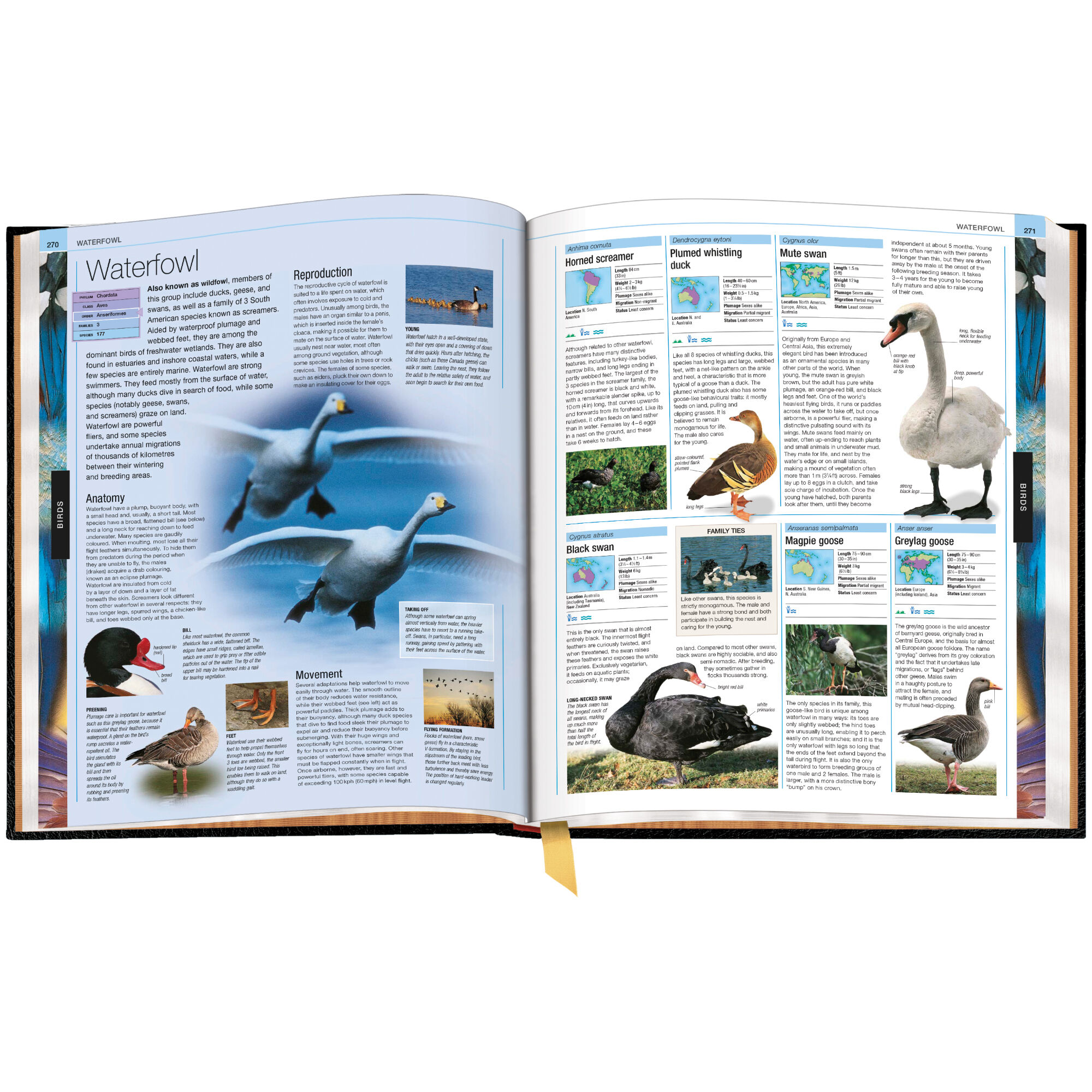 Animal The Definitive Visual Guide 3832 e sp03