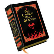 Fire Cannot Kill a Dragon 3889 a cvr