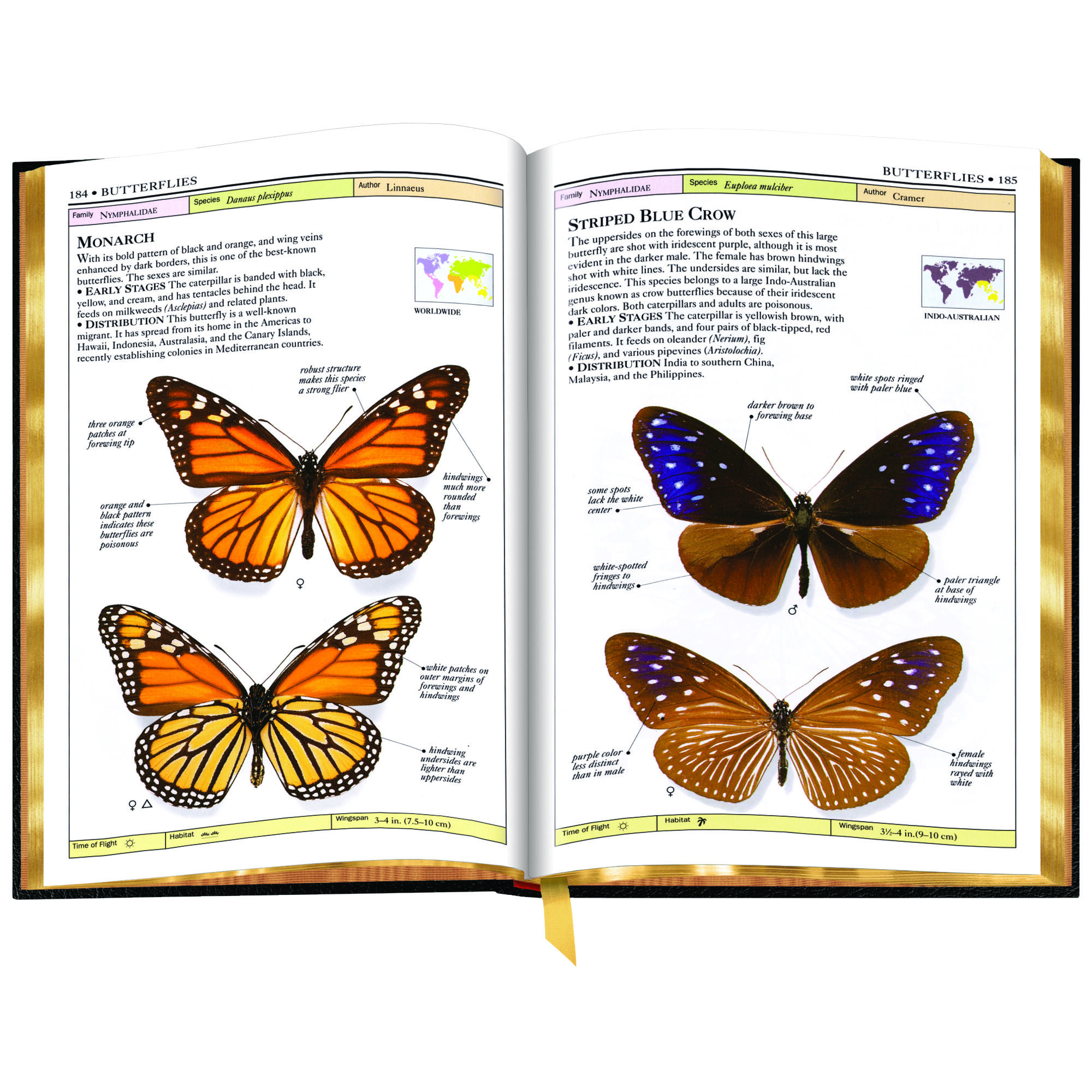 Butterflies and Moths 3860 e sp3
