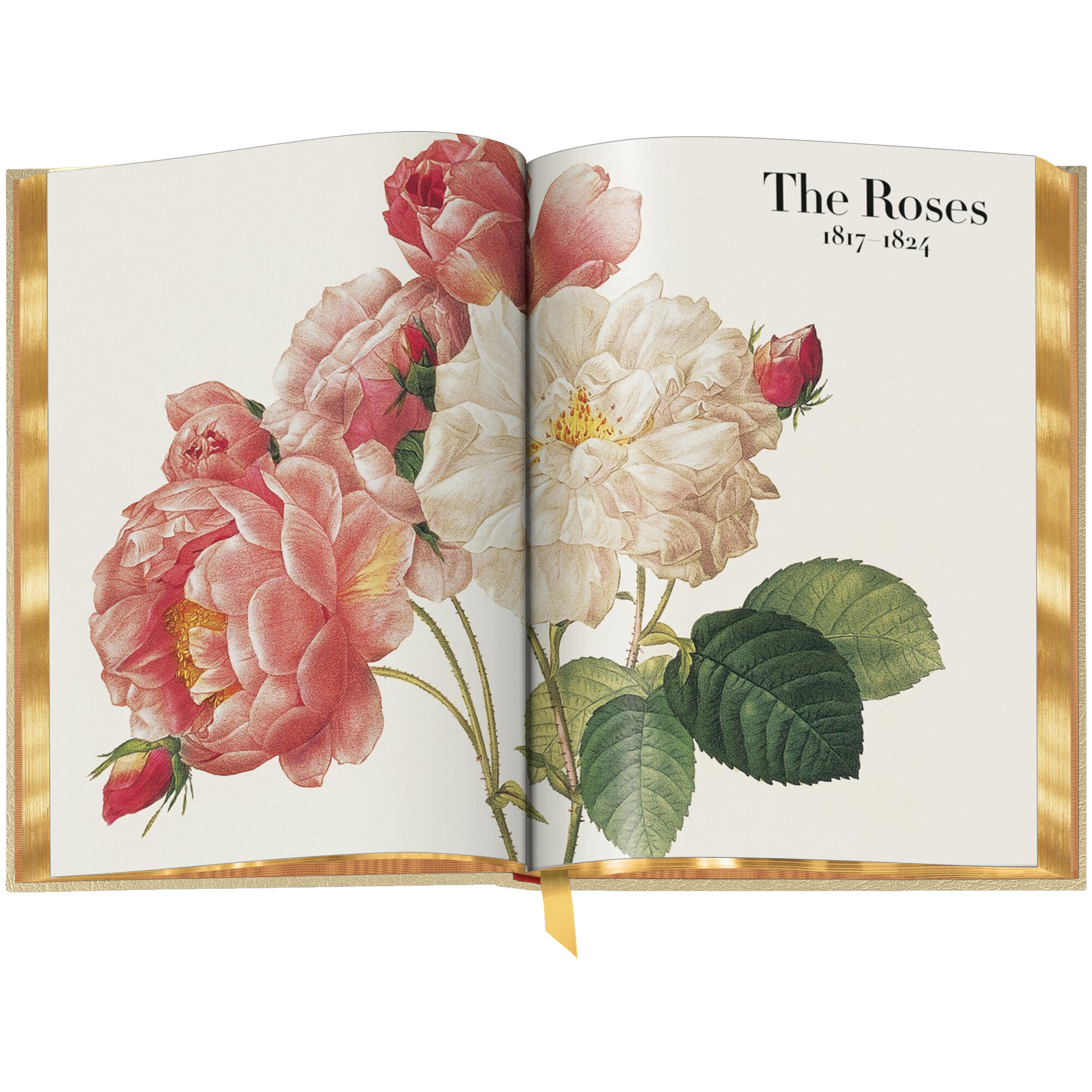 Book of Flowers 3704 d spr3 WEB