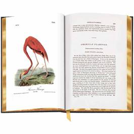 John James Audubons Birds of America 3201 6
