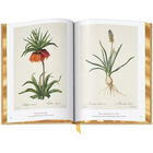 Book of Flowers 3704 c spr2 WEB