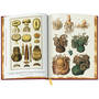 Cabinet of Natural Curiosities 3844 f sp04
