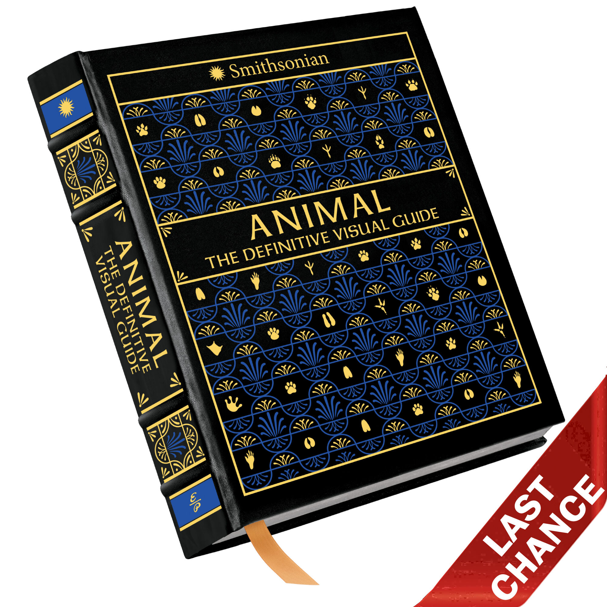 Animal The Definitive Visual Guide 3832 b LQ