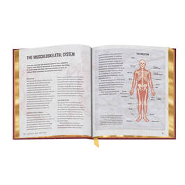 The Anatomy Bible 3682 c spr2