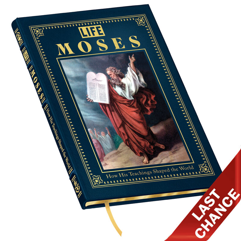 Moses 3455 a main