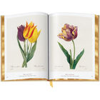 Book of Flowers 3704 g spr6 WEB