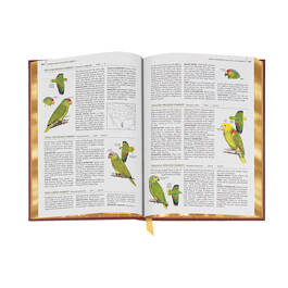 Complete Birds of North America 3596 7