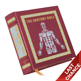 3682 The Anatomy Bible z LQ