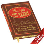 Chicago Big Teams 3141 a cover