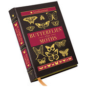 Butterflies and Moths 3860 a cvr