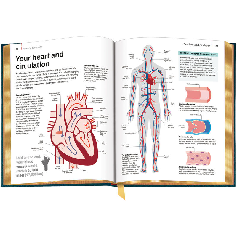 The Medical Check Up Book 3688 b spr1 WEB