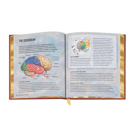 The Anatomy Bible 3682 f sp5