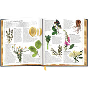 Encyclopdia of Herbal Medicine 3861 c sp01