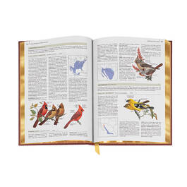 Complete Birds of North America 3596 9