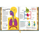 The Medical Check Up Book 3688 d spr3 WEB