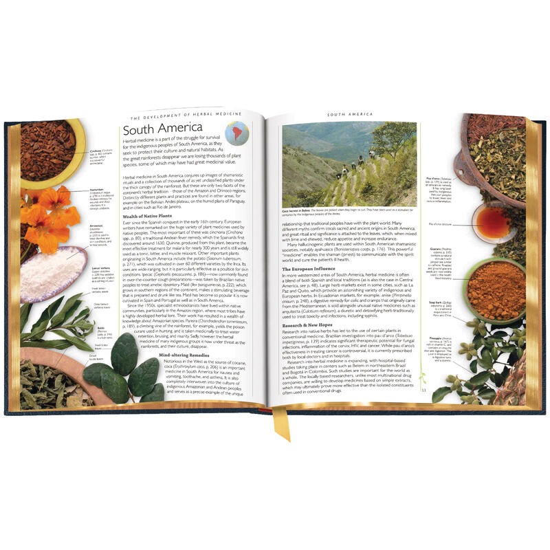 Encyclopdia of Herbal Medicine 3861 e sp03