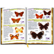 Butterflies and Moths 3860 c sp1