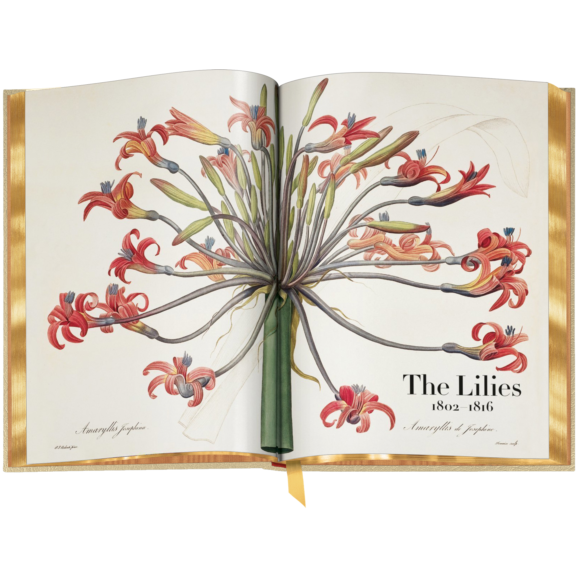 Book of Flowers 3704 a main WEB