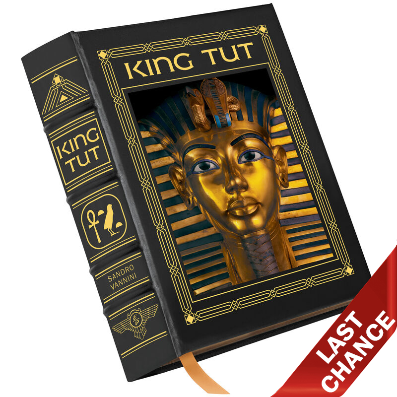 king tut research paper